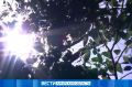Осадки: прогноз погоды на 3 июня в Приамурье