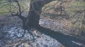 Компания выплатит 19 миллионов рублей за ущерб от пожара в Муравьевском заказнике