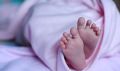 Оливия и Авилия родились на прошлой неделе в Приамурье