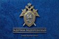 В Константиновском районе за причинение тяжкого вреда здоровью, повлекшего смерть мужчины, задержан местный житель