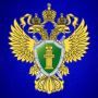 Прокуратура города Благовещенска организовала проверку по факту выпадения несовершеннолетней из окна