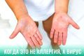 ���� � ����: ��� ������� ������ �� ������������