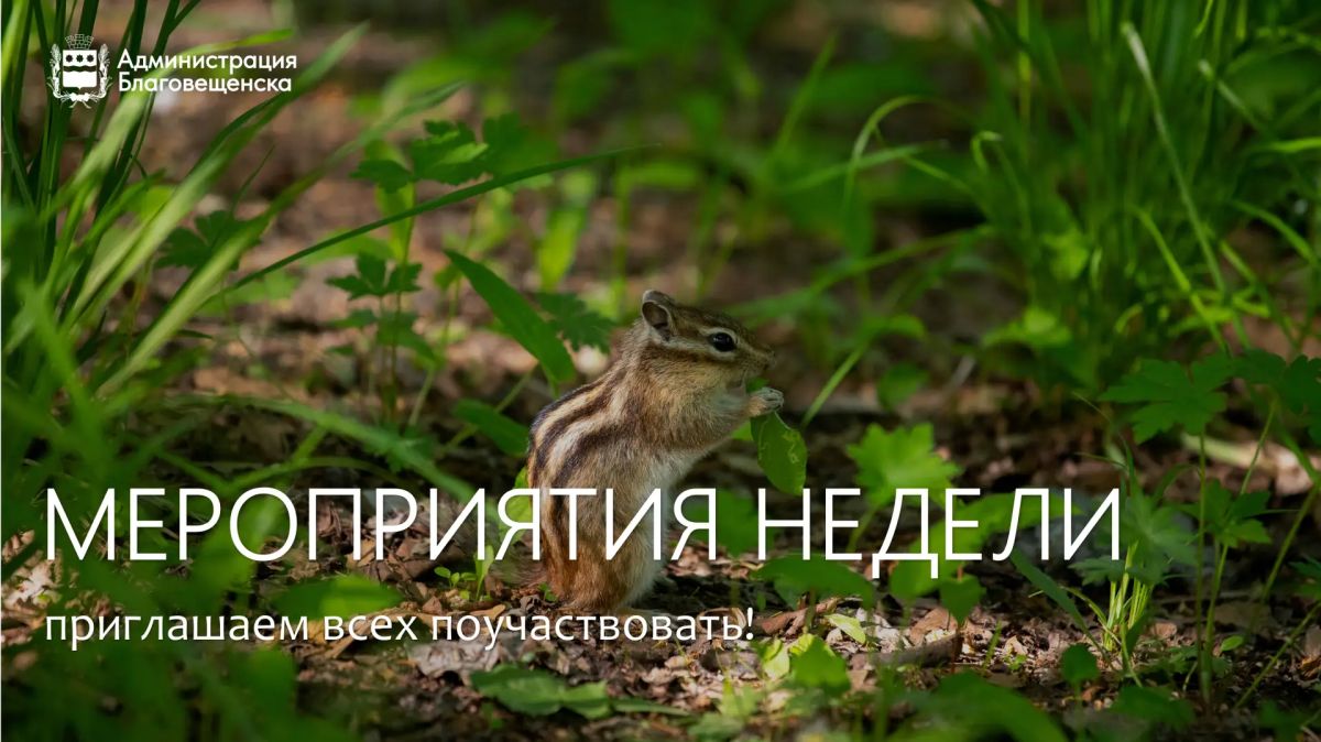 С началом новой недели, дорогие подписчики!