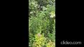 �������� �������!�: � ������������� ������� ���������� ������ ����������� ��������� ������ � �����