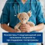 Программа «Земский доктор» продолжает помогать региону привлекать врачей в районные больницы