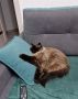В такую погоду хочется только одного…