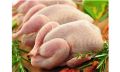 Почему куриное мясо — лучший выбор для каждого стола