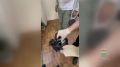 � ���������� ��������� �������, � �������� ��� ���� ���� 48 �������� � �����������