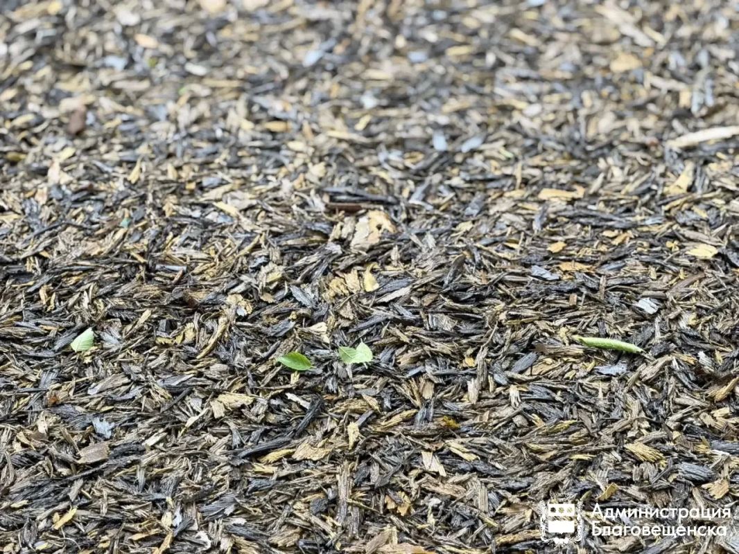 Дорога, вымощенная жёлтым кирпичом, появилась в Благовещенске Дорога, вымощенная жёлтым кирпичом, появилась в Благовещенске