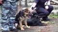В Приамурье полицейские и общественники познакомили воспитанников детского оздоровительного лагеря со своей работой