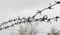 Жительница Свободного отправится в колонию за долг по алиментам в 100 000 рублей