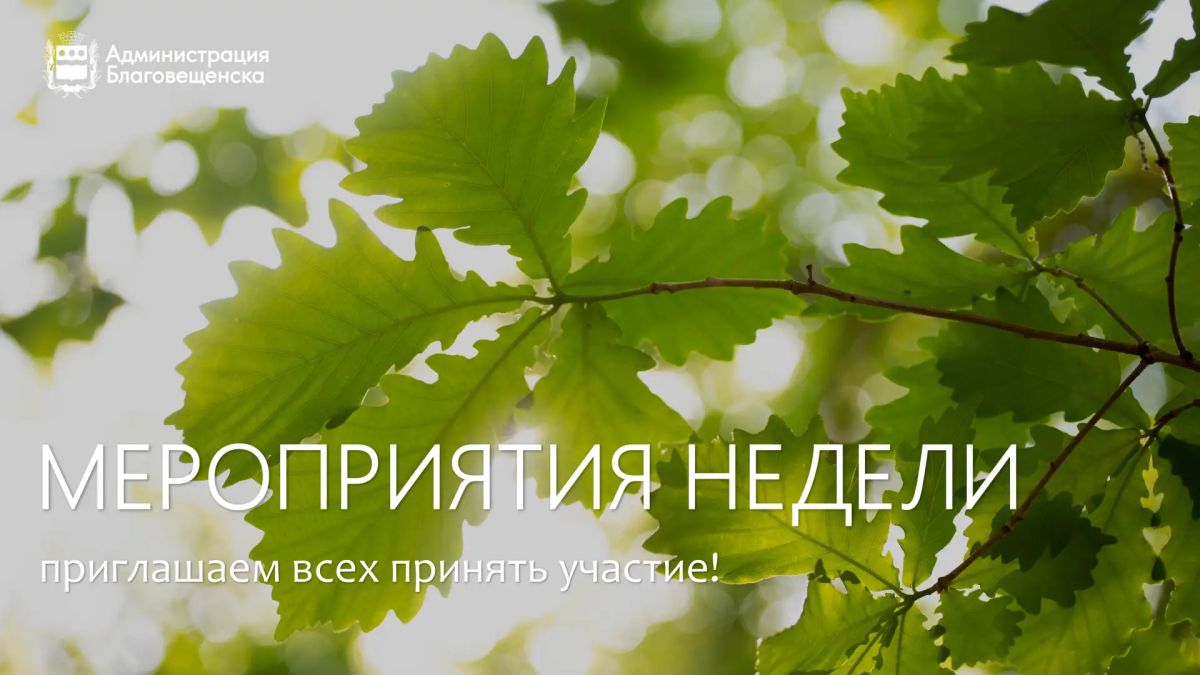 Может, спортом заняться? Или картину нарисовать? А может, вообще отправиться в литературную экспедицию?