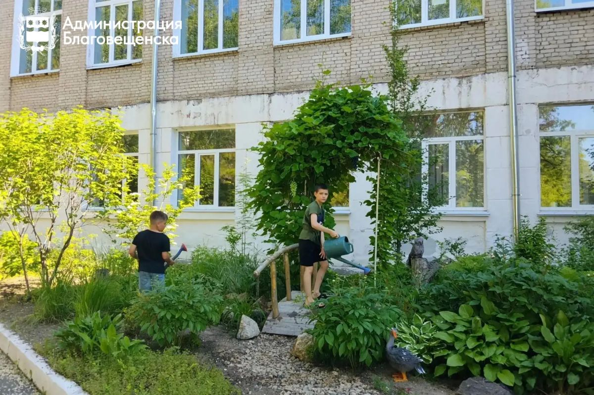 Студия природы, птичий квартал и сад памяти: ученики школы № 24 проводят лето с пользой Студия природы, птичий квартал и сад памяти: ученики школы № 24 проводят лето с пользой