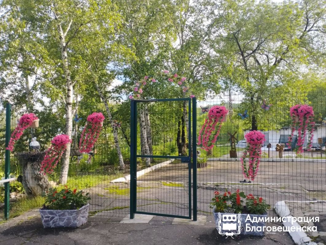 Студия природы, птичий квартал и сад памяти: ученики школы № 24 проводят лето с пользой Студия природы, птичий квартал и сад памяти: ученики школы № 24 проводят лето с пользой