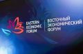 Опубликована архитектура деловой программы ВЭФ – 2026