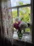 Летний день в деревне. Признавайтесь, кому ностальгия в глаз попала? А, может, есть счастливчики, которые созерцают это ежедневно? От всех ждём лайки Будьте в курсе главных новостей Амурской области