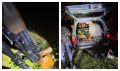 Все с ружьями и карабинами: амурчане массово нарушают запрет на охоту