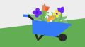 Польза садоводства: как работа с землёй улучшает здоровье