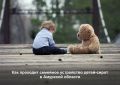 За первые полгода 2026 года в Приамурье 134 ребенка-сироты были устроены в семьи, ещё 10 вернулись к родным родителям