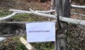 Опасные биологические объекты продолжают ликвидировать в Приамурье