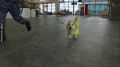 Этот корги готовится стать инспектором по досмотру багажа в аэропорту Благовещенска