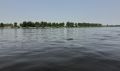Прогноз погоды в Амурской области на 26 июля (ПАЗЛ)