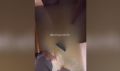 ���� �� ������� ���������: � ���������� ����� �������� ����� �������� ��������
