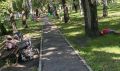 «Храп на весь сквер»: благовещенцы жалуются на засилье пьянчуг в одной из зеленых зон города