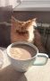 �������� ����. ���� �� ��������� @ampravda
