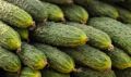 «Налетай на огурцы!»: обзор цен на продукты и услуги в Амурской области за июль 2026 года