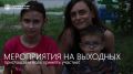 Погода на выходных отличная — самое время провести их активно и с пользой!