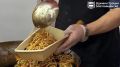 ������ ����� ����������!�: ��������� ������� ����� ��������� � �������������