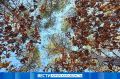 Кратковременные осадки и до +25 °С: прогноз погоды на 3 сентября в Приамурье