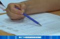 Досрочное голосование за кандидатов в депутаты Госдумы и Заксобрания области стартовало в Приамурье