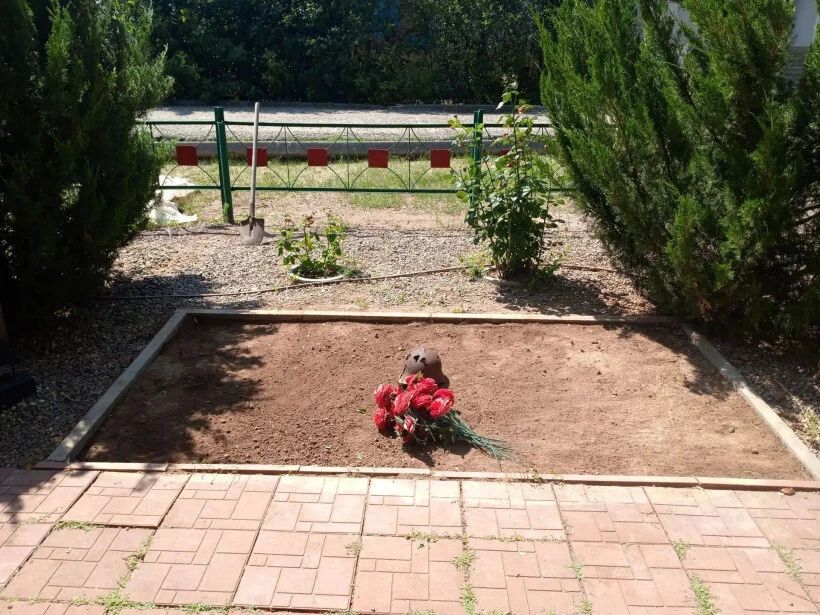 Поисковики нашли останки двух красноармейцев на месте сражений амурской дивизии в Волгоградской области Поисковики нашли останки двух красноармейцев на месте сражений амурской дивизии в Волгоградской области