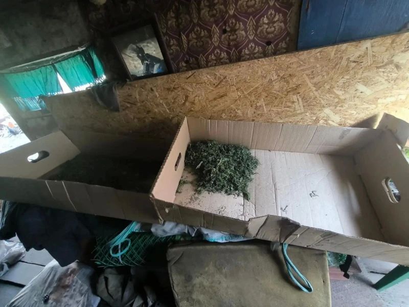 В Райчихинске полицейские пресекли незаконную деятельность гражданина, занимавшегося культивированием наркосодержащих растений В Райчихинске полицейские пресекли незаконную деятельность гражданина, занимавшегося культивированием наркосодержащих растений