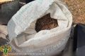 В Завитинском муниципальном округе приобретение и хранение наркотических средств обернулись колонией общего режима для местного жителя