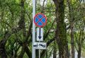 Что делать, если ваш транспорт эвакуировали из-за парковки под знаком: алгоритм