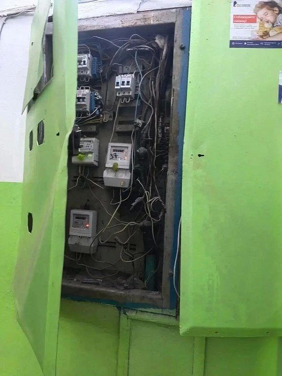 В подвале дома в Благовещенске обнаружили помет, трупы птиц и мусор: УК привлекут к ответственности В подвале дома в Благовещенске обнаружили помет, трупы птиц и мусор: УК привлекут к ответственности