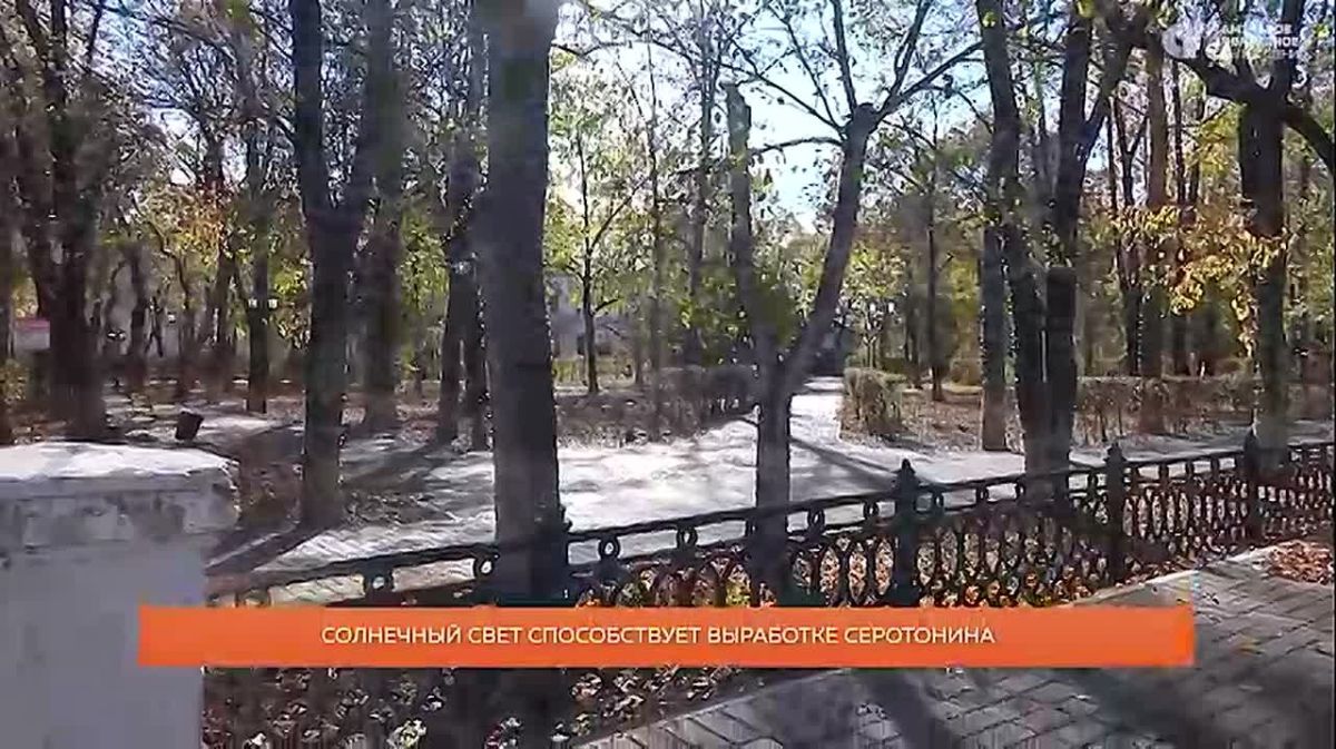 Осень - время для уюта, но иногда так хочется спрятаться под плед до весны