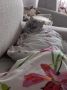 Винсент предпочел провести выходные дома, а вы?