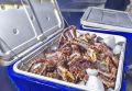 В Приморье задержали браконьеров с крабом на 9,7 млн