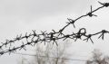 Житель Свободного, избивший брата в пьяной ссоре, отправится в колонию