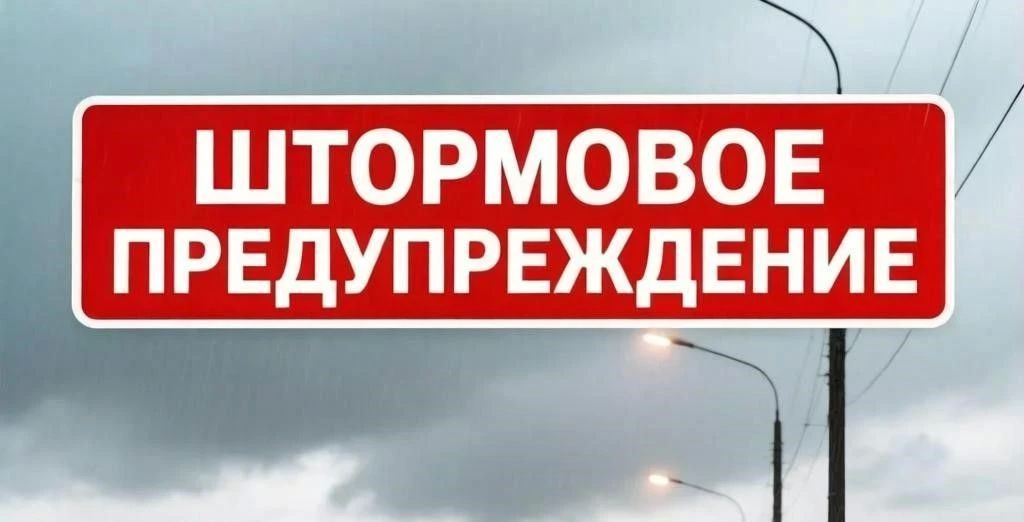 #какой прогноз у нас сегодня, милый?
