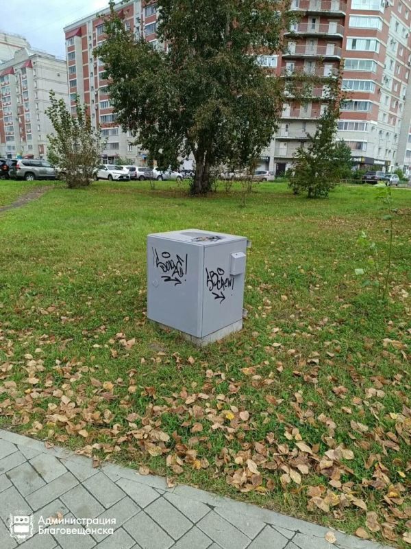 В областном центре стали появляться несанкционированные надписи на стенах жилых домов и других объектах городской инфраструктуры В областном центре стали появляться несанкционированные надписи на стенах жилых домов и других объектах городской инфраструктуры