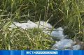 Мокрый снег на севере: прогноз погоды на 17 сентября в Приамурье