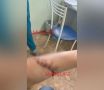 �� �������� ����� ��� ���������: �������� � �������������� ������������ ���������� ������������ (�����, ���� 18+)