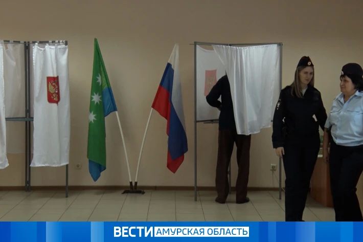 Амурчане могут проголосовать на дому по уважительной причине