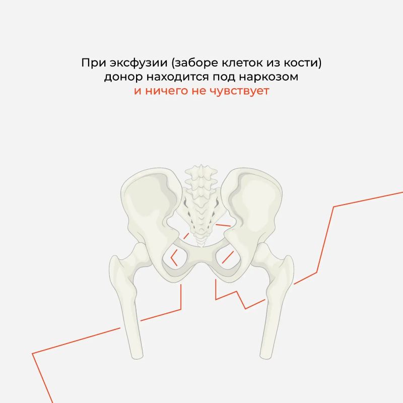 В преддверии Международного дня донора костного мозга Амурская областная станция переливания крови организует выездную донорскую акцию в Свободном В преддверии Международного дня донора костного мозга Амурская областная станция переливания крови организует выездную донорскую акцию в Свободном