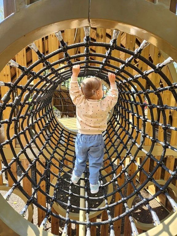 Масштаб оценили, туалет не нашли: впечатления благовещенки от посещения площадки в «Амурском лесу» Масштаб оценили, туалет не нашли: впечатления благовещенки от посещения площадки в «Амурском лесу»